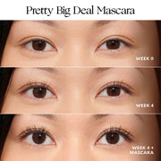 Velour 24 Hr Lash Care Kit (Pretty Big Deal Mascara Results)